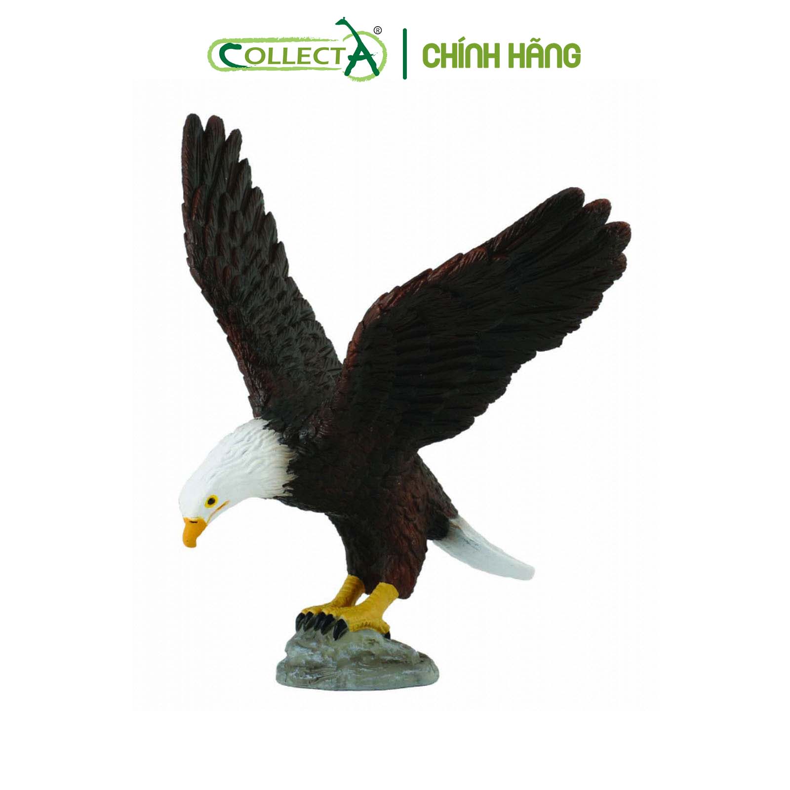 Mô hình thu nhỏ: Đại Bàng Đầu Trắng - American Bald Eagle, hiệu: CollectA, mã HS 9651440[88383] -  Chất liệu an toàn cho trẻ - Hàng chính hãng