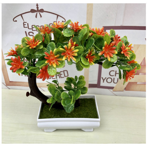 Chậu Bonsai hình nửa mặt trăng lưỡi liềm Bông Hoa cam trang trí