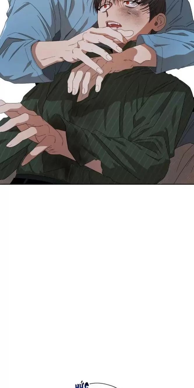 liveta chapter 31 34