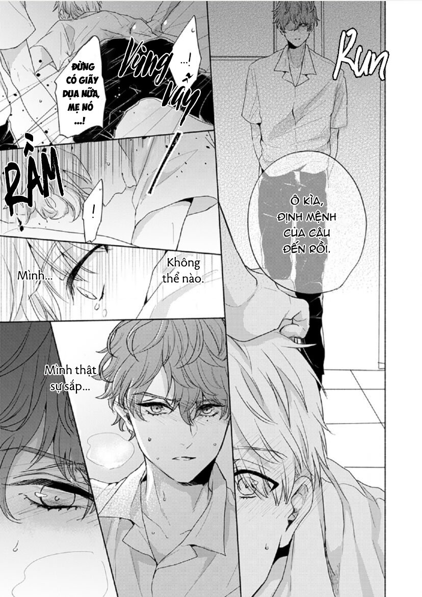 vết cắn tình đầu chapter 4 11