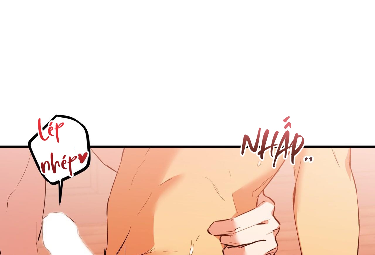 những chú thỏ của hapypy chapter 63 197