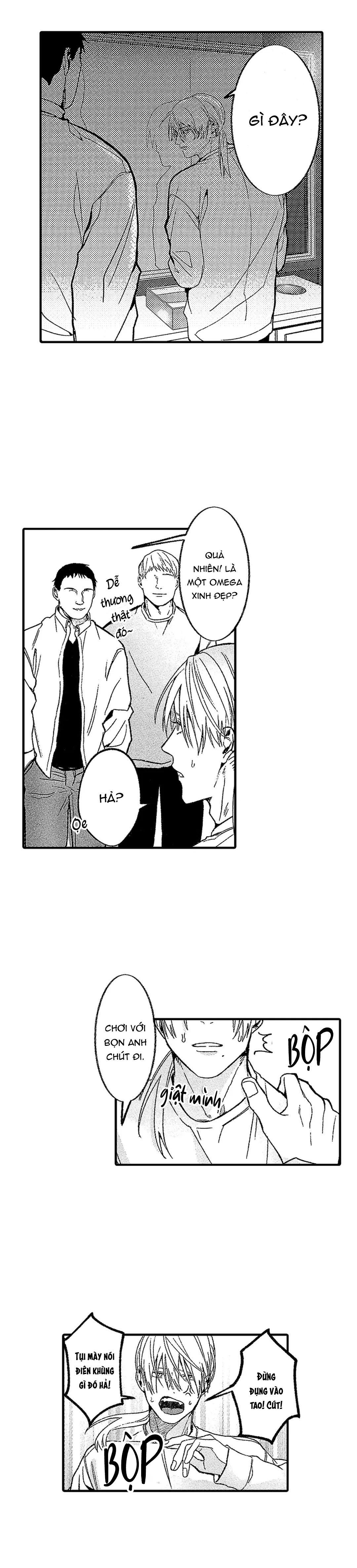 tái sinh thành một omega chapter 6 11