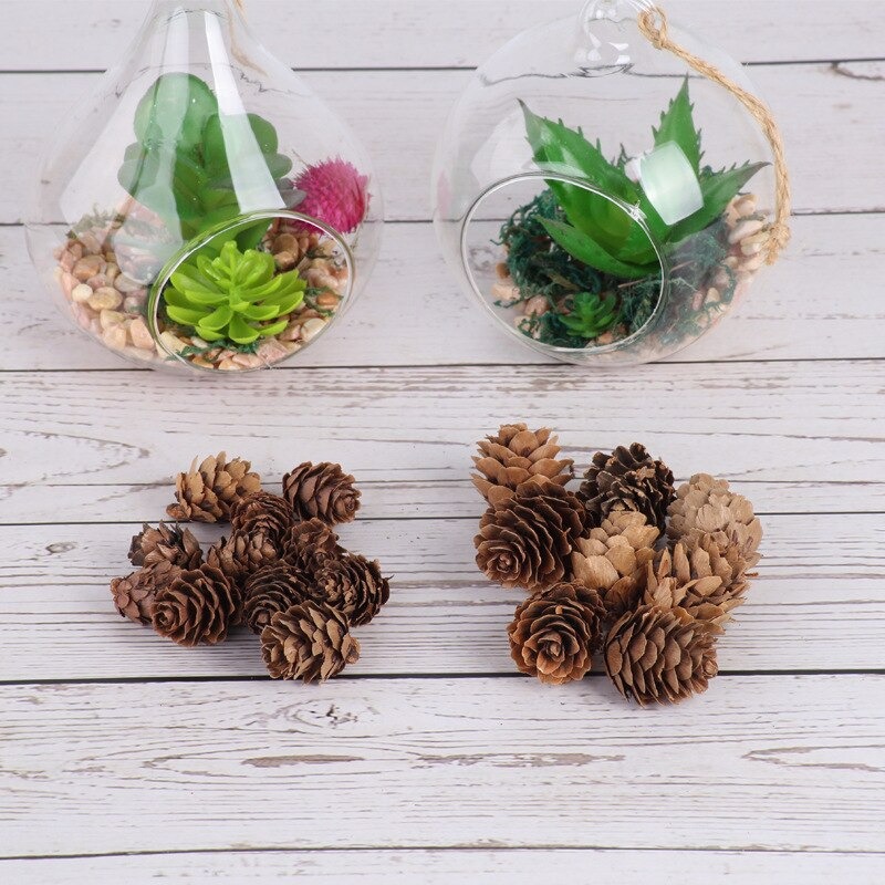 Quả thông khô trang trí Noel - Cây giả, hoa lụa trang trí nhà cửa