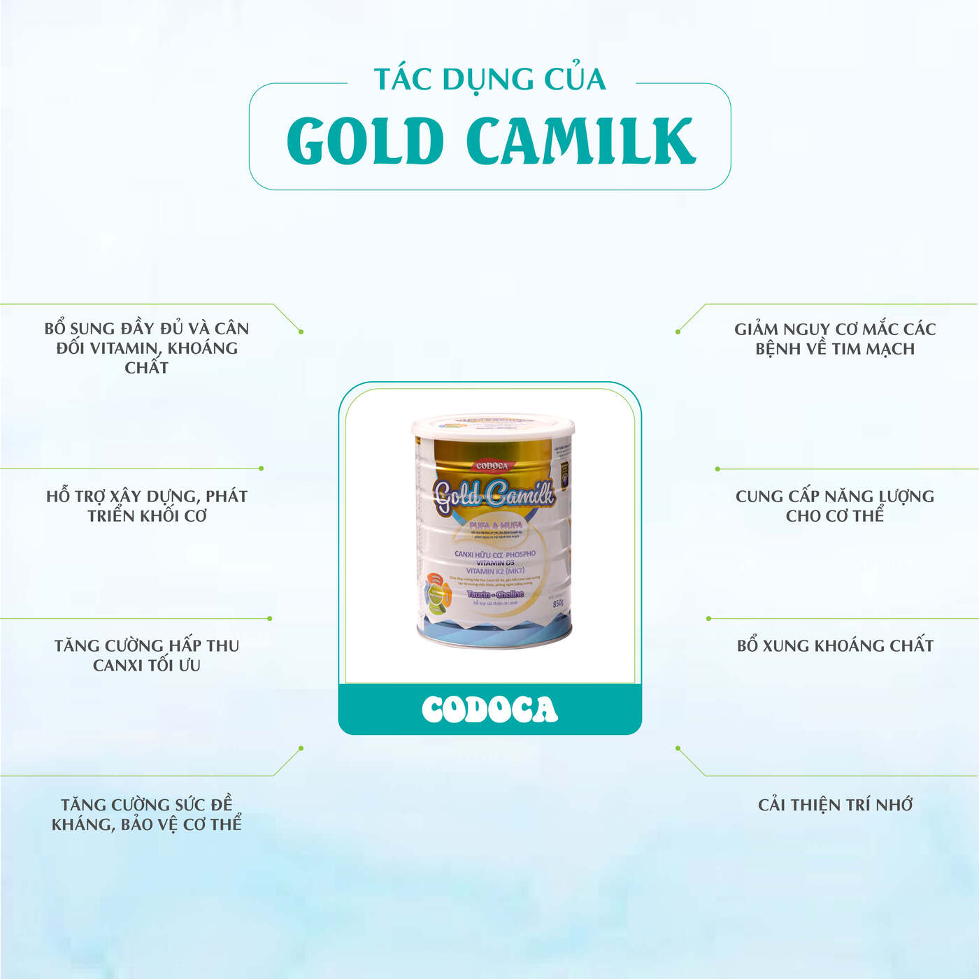 Codoca Gold Camilk – Dinh dưỡng đặc biệt cho người cao tuổi – Tăng cường hấp thu canxi
