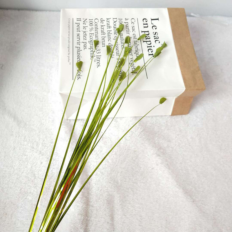 Cành lau nhựa nhiều màu