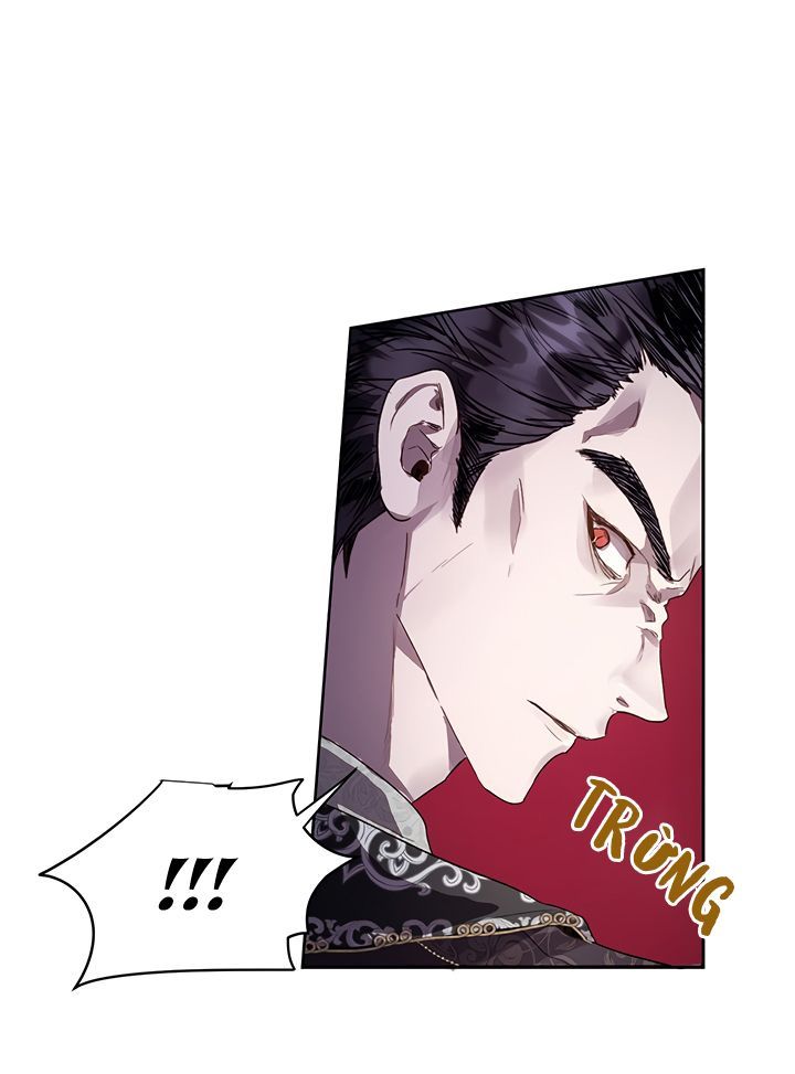 cách để cứu rỗi anh trai của nữ chính chapter 25 29