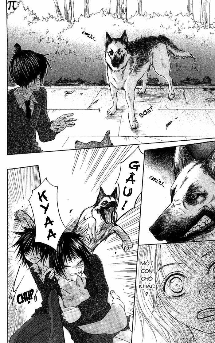 cậu bé hoang dã chapter 3 16