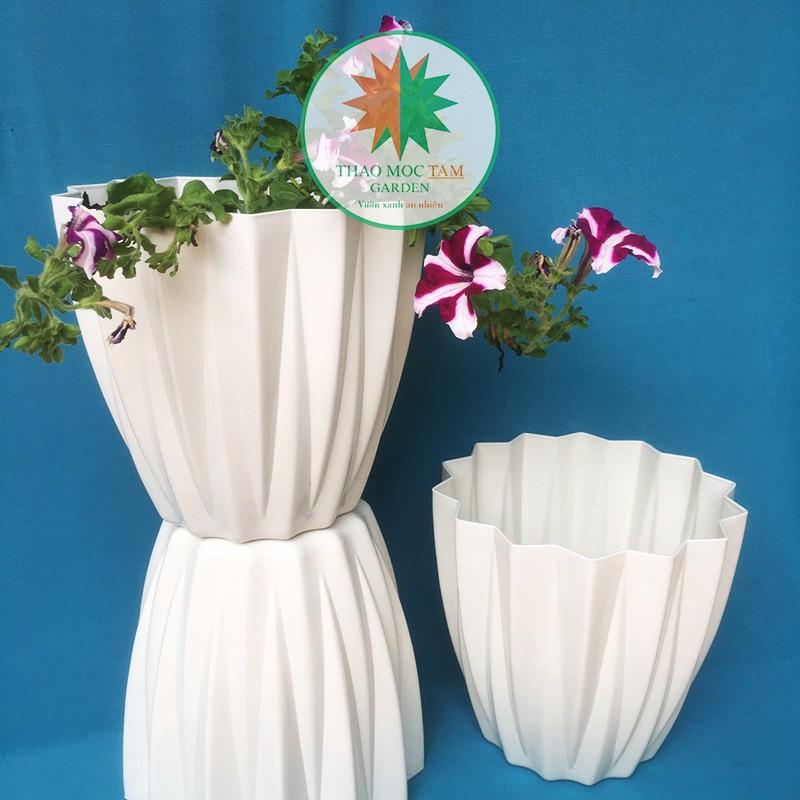 Chậu Kim Cương 28x25cm cạnh khế – Chậu nhựa kim cương nhiều cạnh, trồng hoa, cây kiểng trang trí sang trọng.