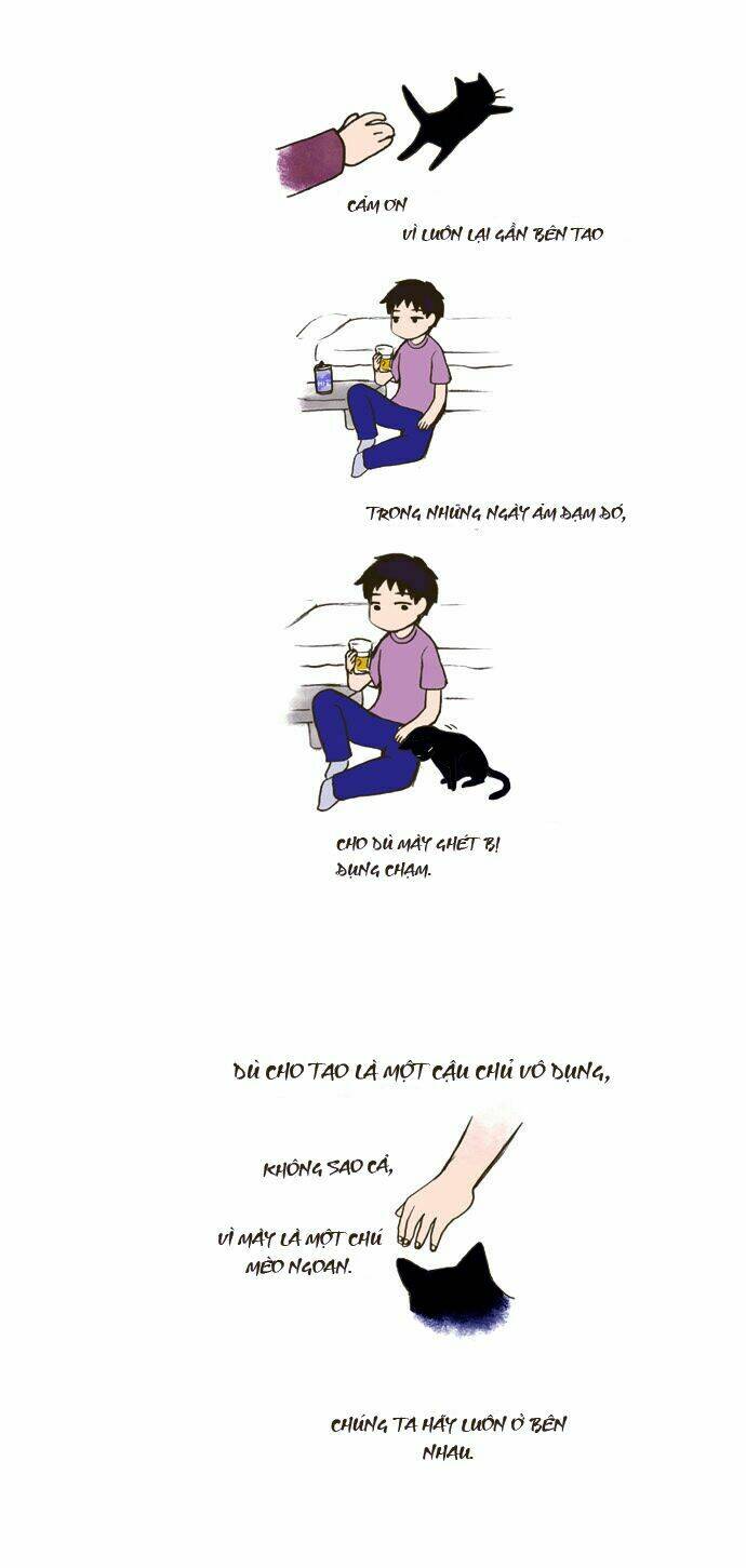 my kitty and old dog chapter 24 5