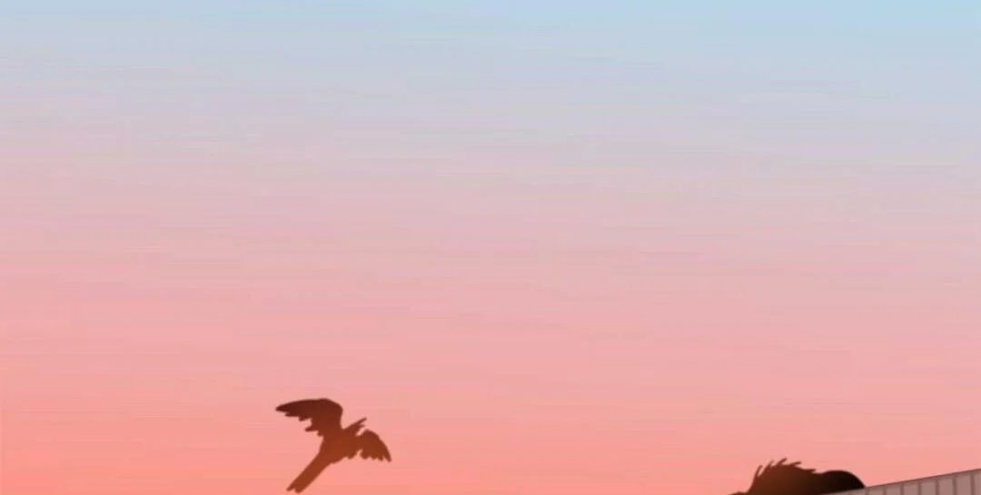 guide cấp b chapter 26 27