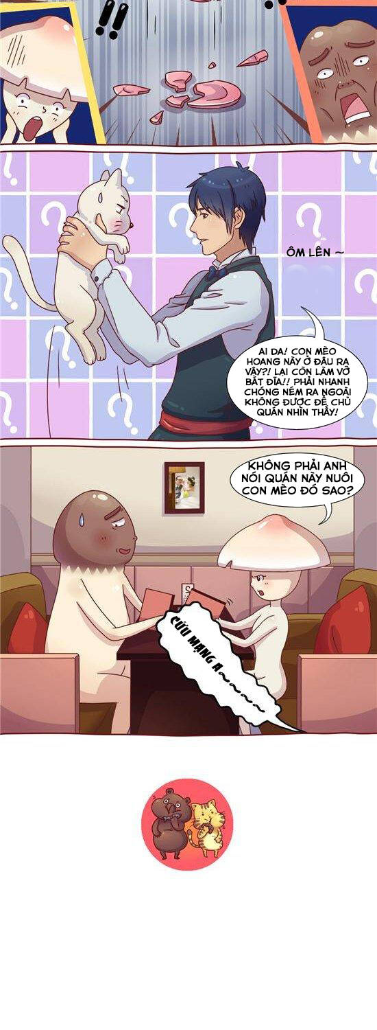 cây nấm kì khả chapter 25 7