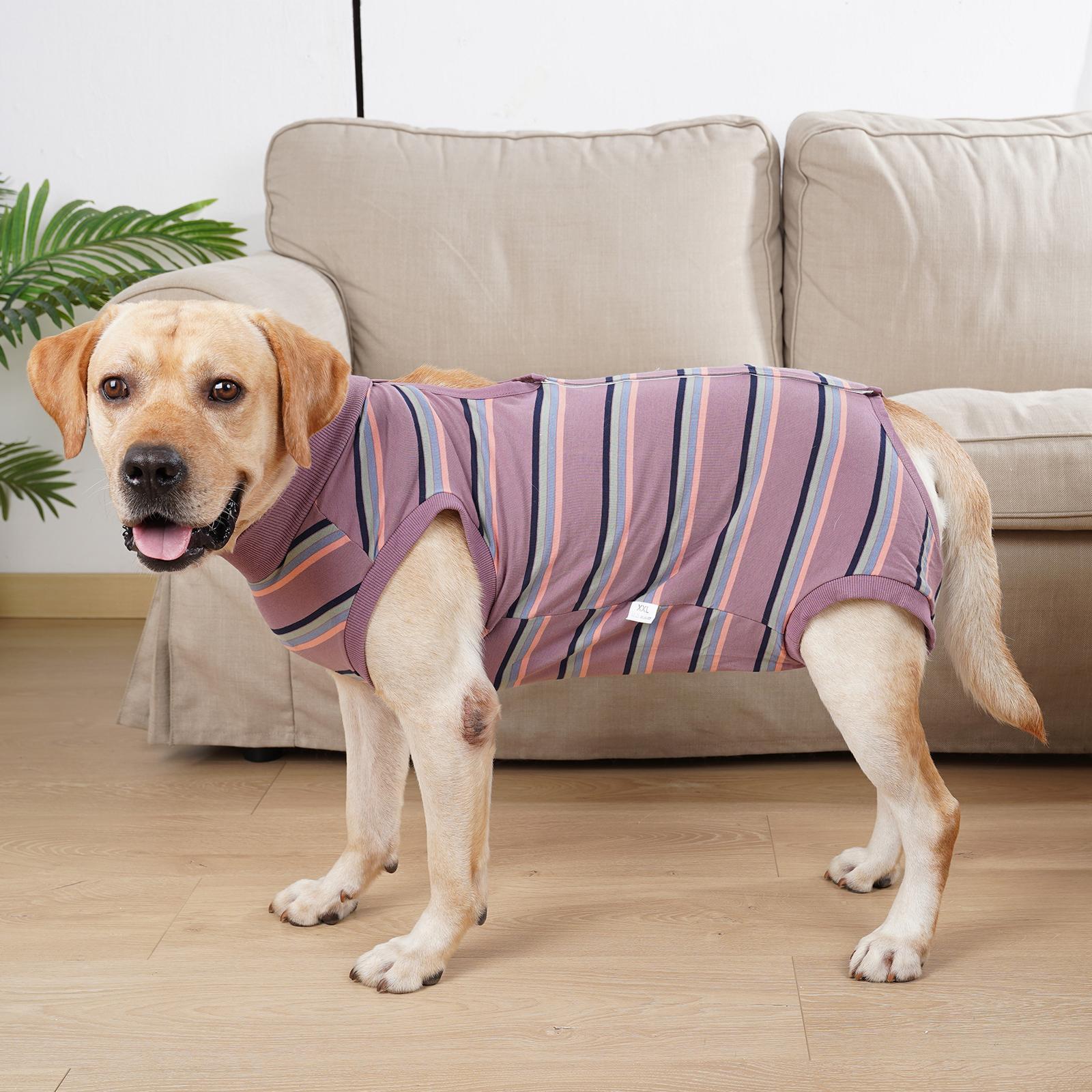 Pet Physiological Clothes Pet Supplies Breathable Nappy Jacket Dog Clothes