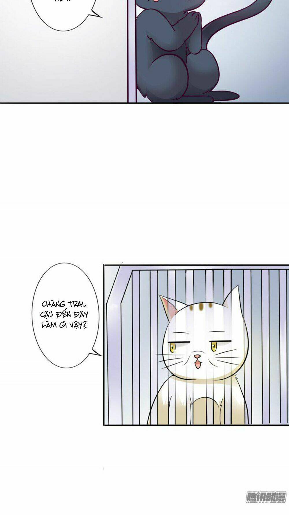 hai chú mèo totem chapter 3 17