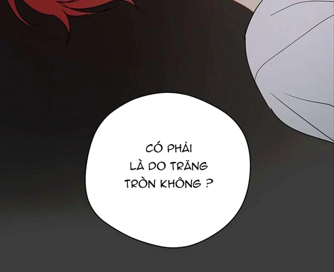 chuyện quái gì với giấc mơ đó vậy chapter 31 103