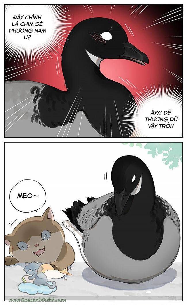 chim sẻ gọi ngỗng trời chapter 1 3