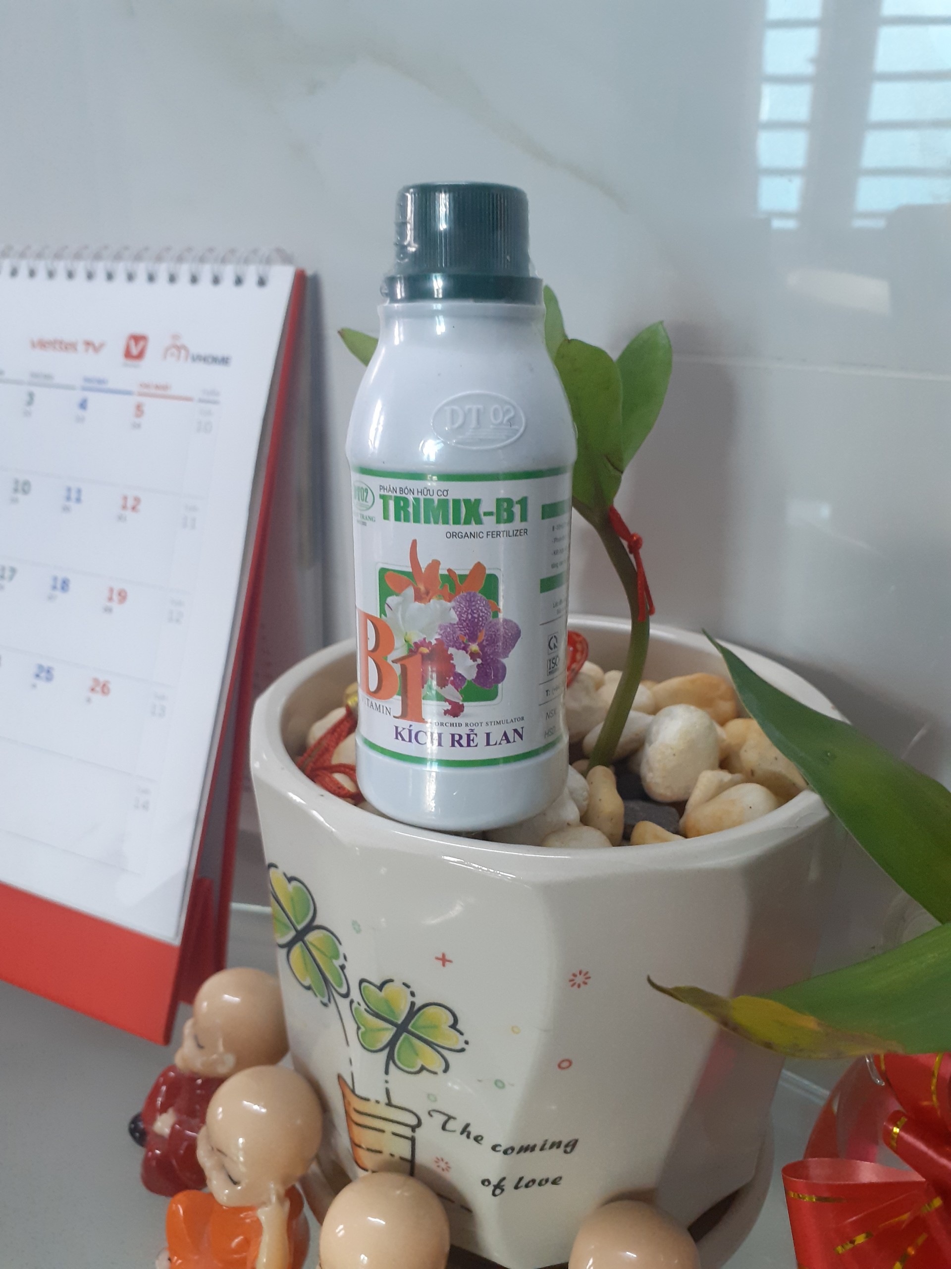 Phân nước Hòa tan nhanh – B1 – Kích rễ Lan – Trimix Vitamin B1