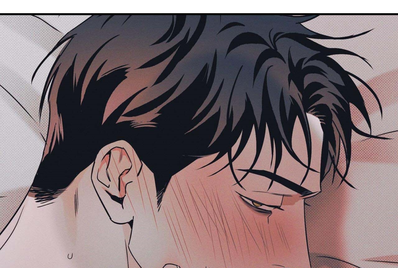 chàng giao pizza và gold palace chapter 41 162