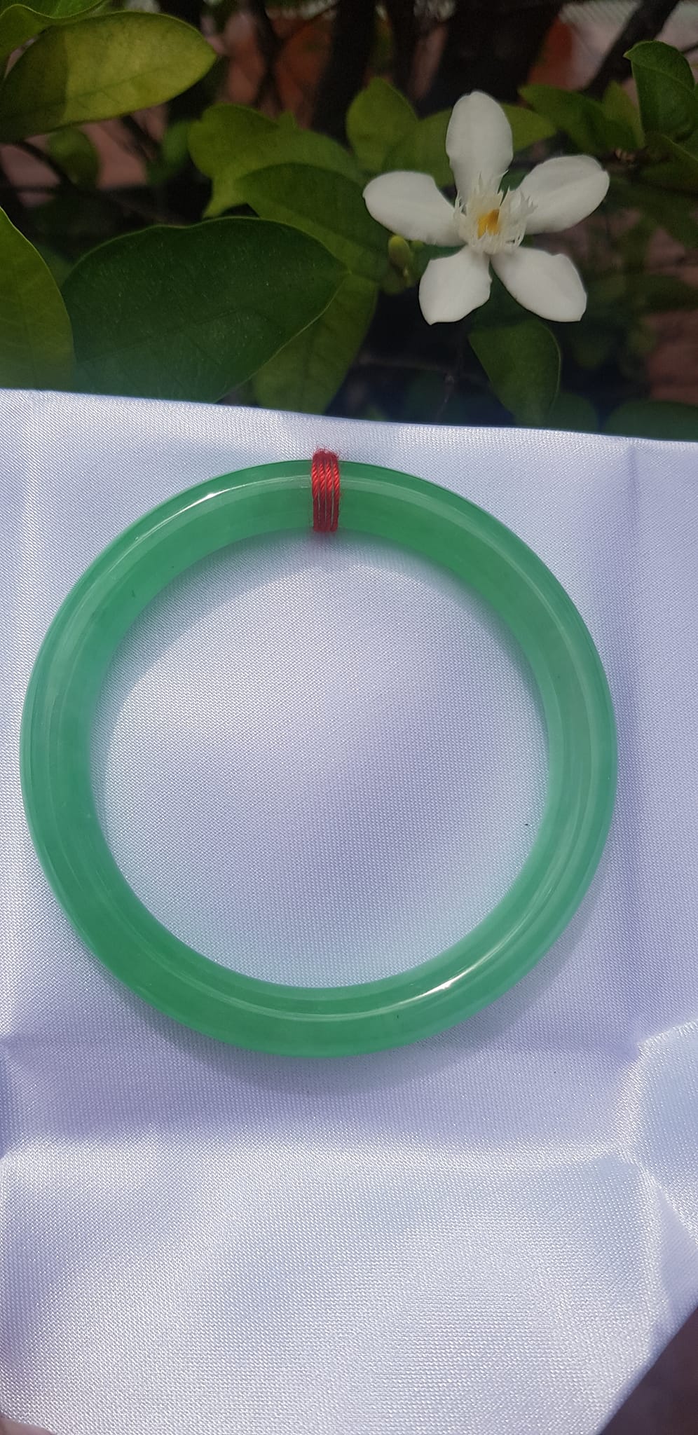 Vòng tay Nữ đá cẩm thạch Mới Lý Trong Size 54mm x cọng 7mm Vòng màu Xanh lá tươi 53kg - 62kg Nữ mệnh Mộc mệnh Hỏa Thủy đeo ạ
