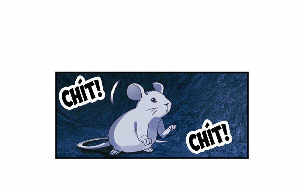 thiền tâm vấn đạo chapter 19 5