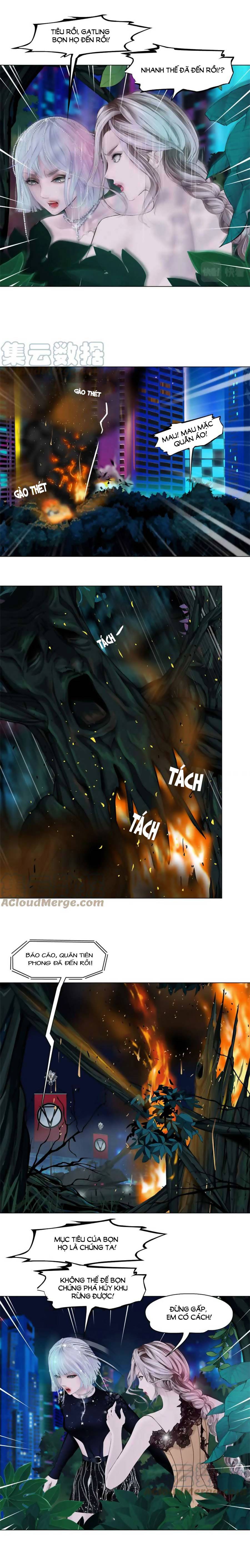 đằng nữ chapter 132 3