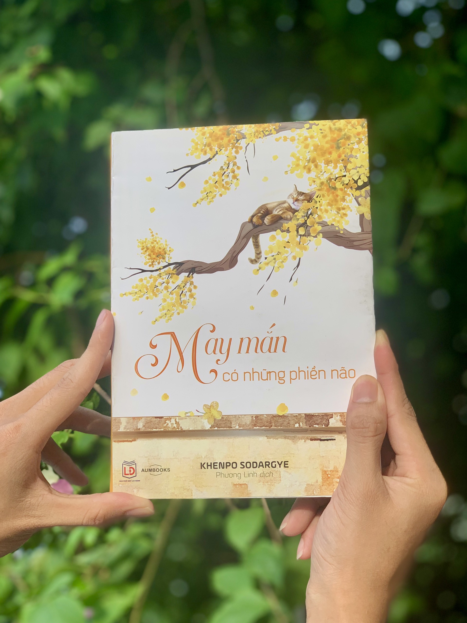 Sách May Mắn Có Những Phiền Não - Sách tôn giáo, nghệ thuật văn hóa, tác giả KHENPO SODARGYE - Á Châu Books, bìa mềm, in màu