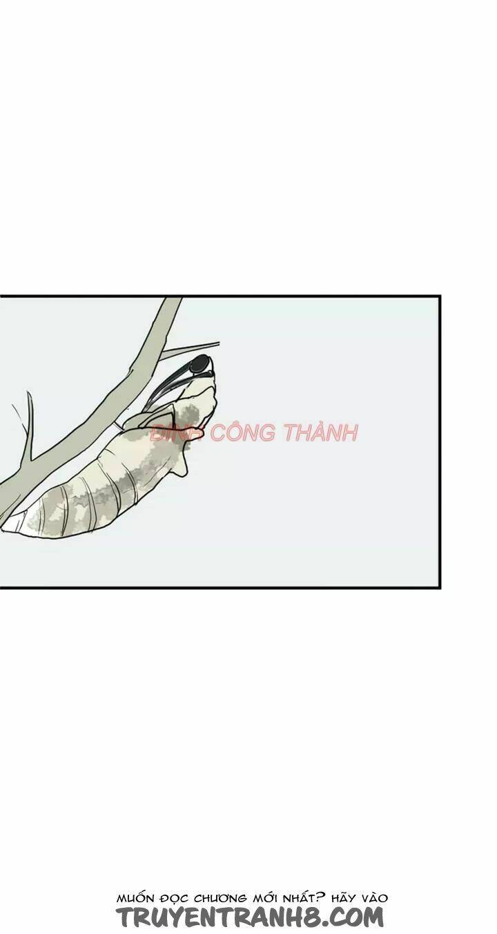 nhộng chapter 1 5