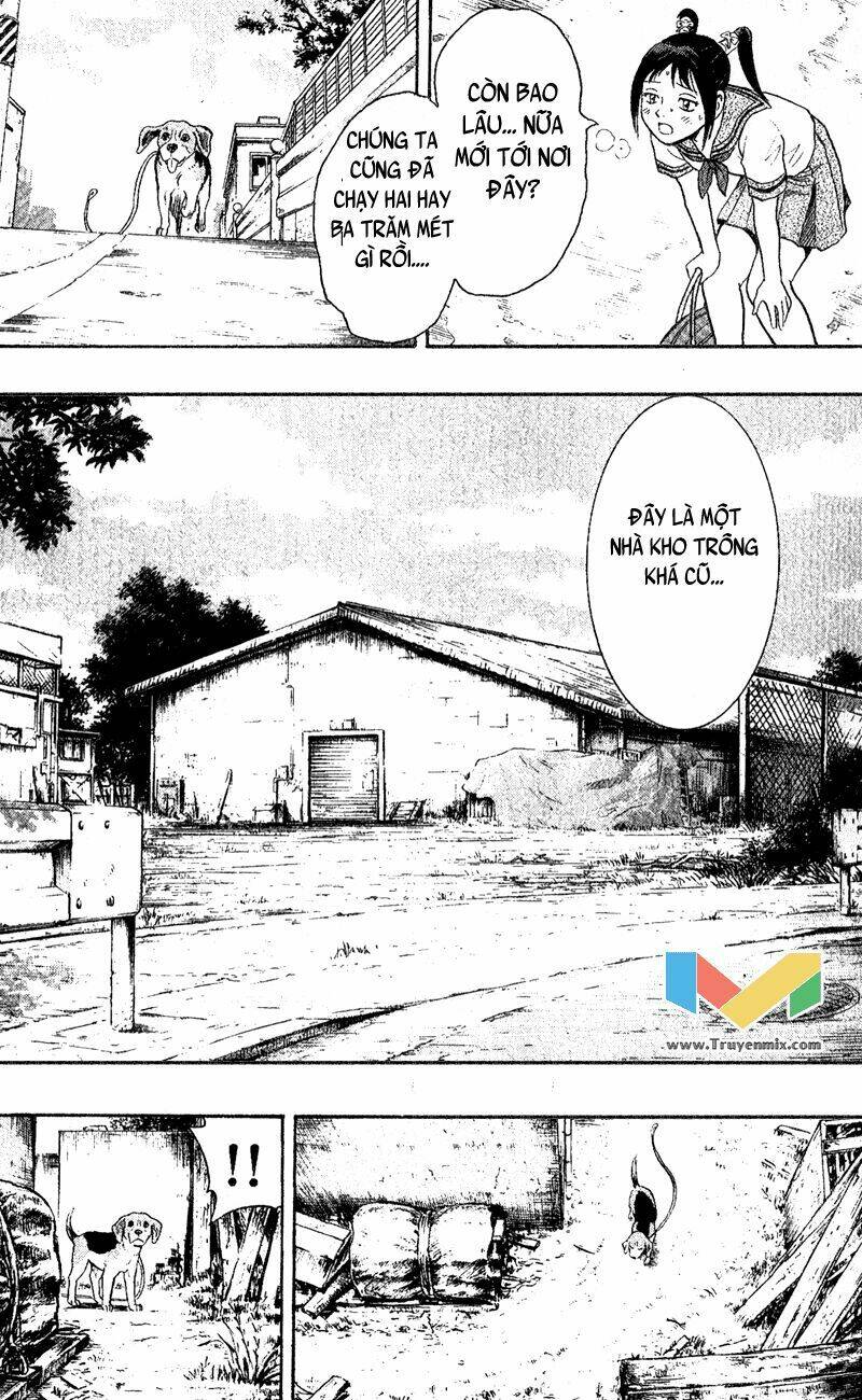 animal sense chapter 1 44