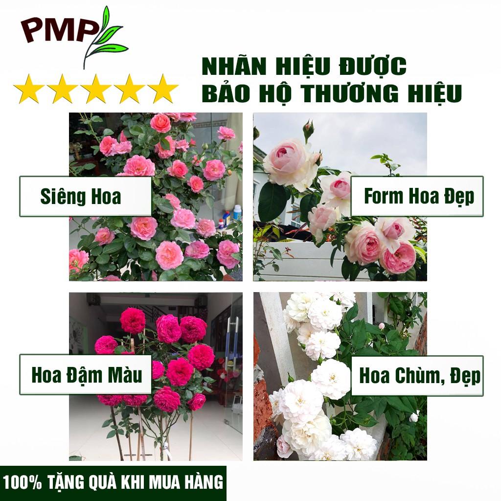 Phân Hữu Cơ PMP Dạng Viên Nén Tan Châm Từ Nhật Bản, Chuyên Dụng Cho Hoa Hồng, Rau Sạch, Cây Cảnh 1Kg