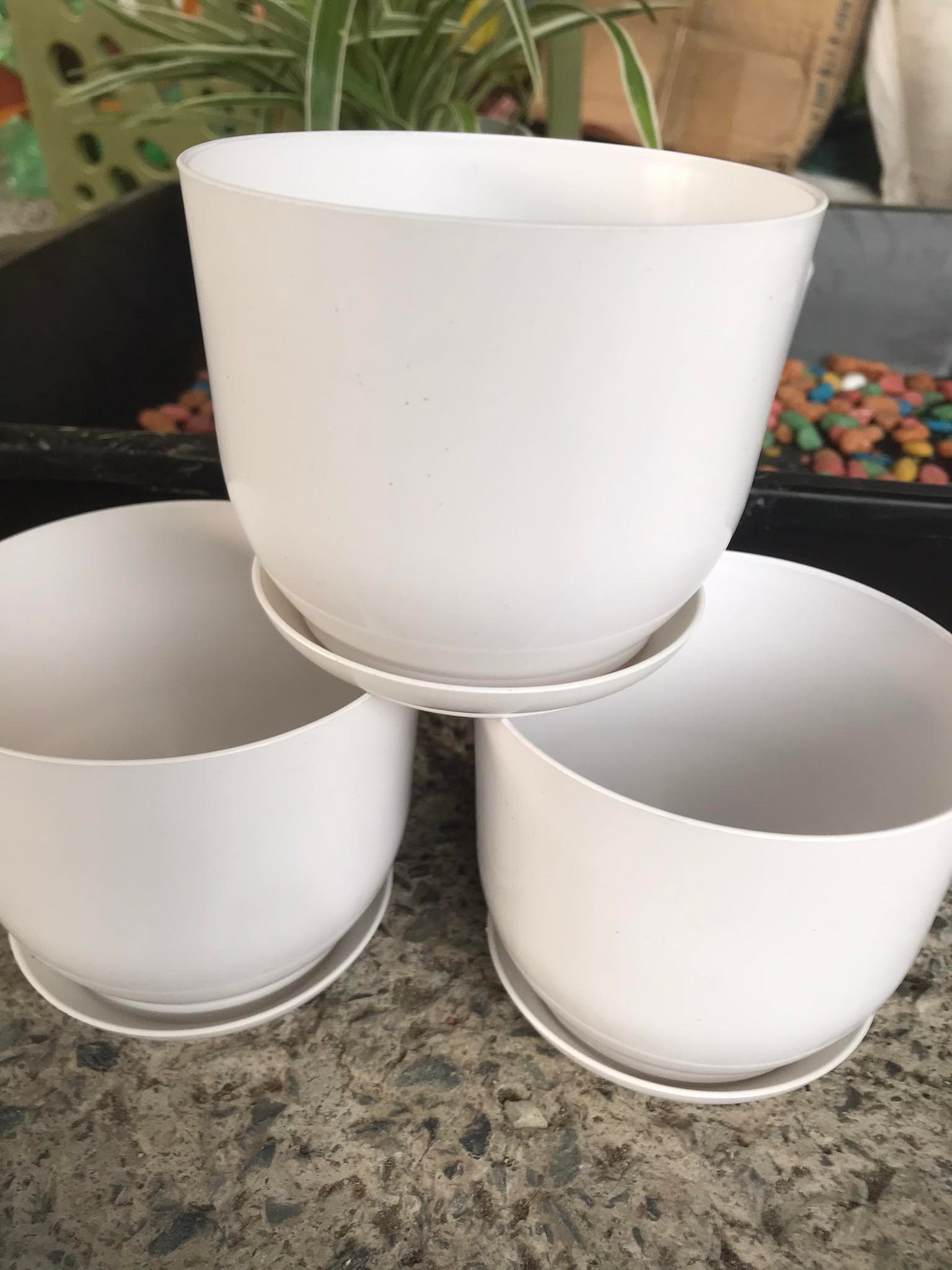 5 Chậu nhựa tròn giả sứ kèm đĩa trồng cây cảnh mini, sen đá, sương rồng kèm hàng dày đẹp
