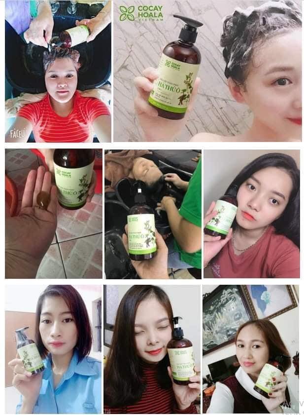 Combo 3 chai Dầu gội Hà Thủ Ô - COCAYHOALA ngăn rụng tóc, giảm bạc tóc Tặng 1 Dầu xả Gừng nuôi dưỡng và làm mềm tóc