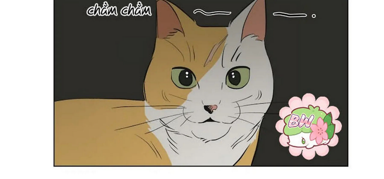 chuyện quái gì với giấc mơ đó vậy chapter 1 107