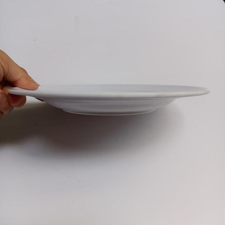 Đĩa Nhựa Melamine Hàng Dày Đủ Kích Cỡ