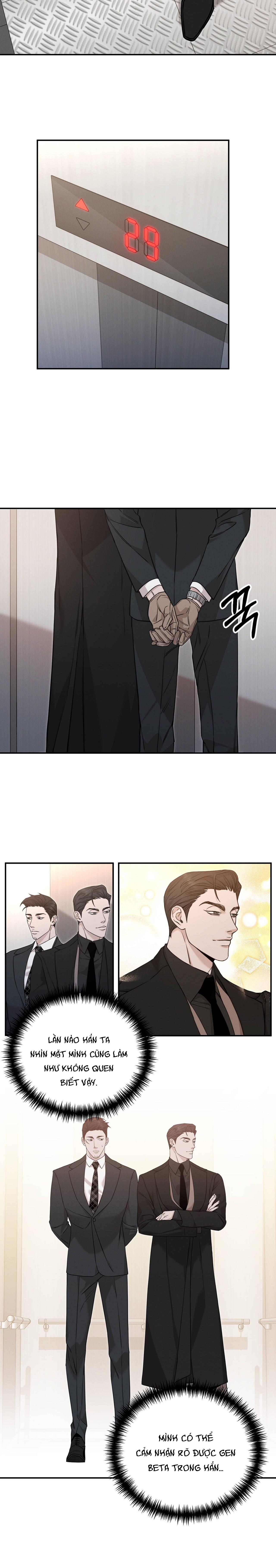 morpheus chapter 3 9