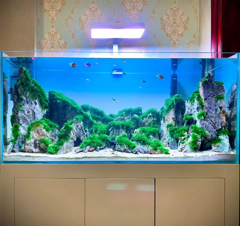 Bộ dụng cụ vệ sinh bể cá , hồ kính 5 trong 1 SX-05 S.UN.SU.N làm sạch rêu hại tảo nây tảo xanh, vợt cá, san cát và đất nền