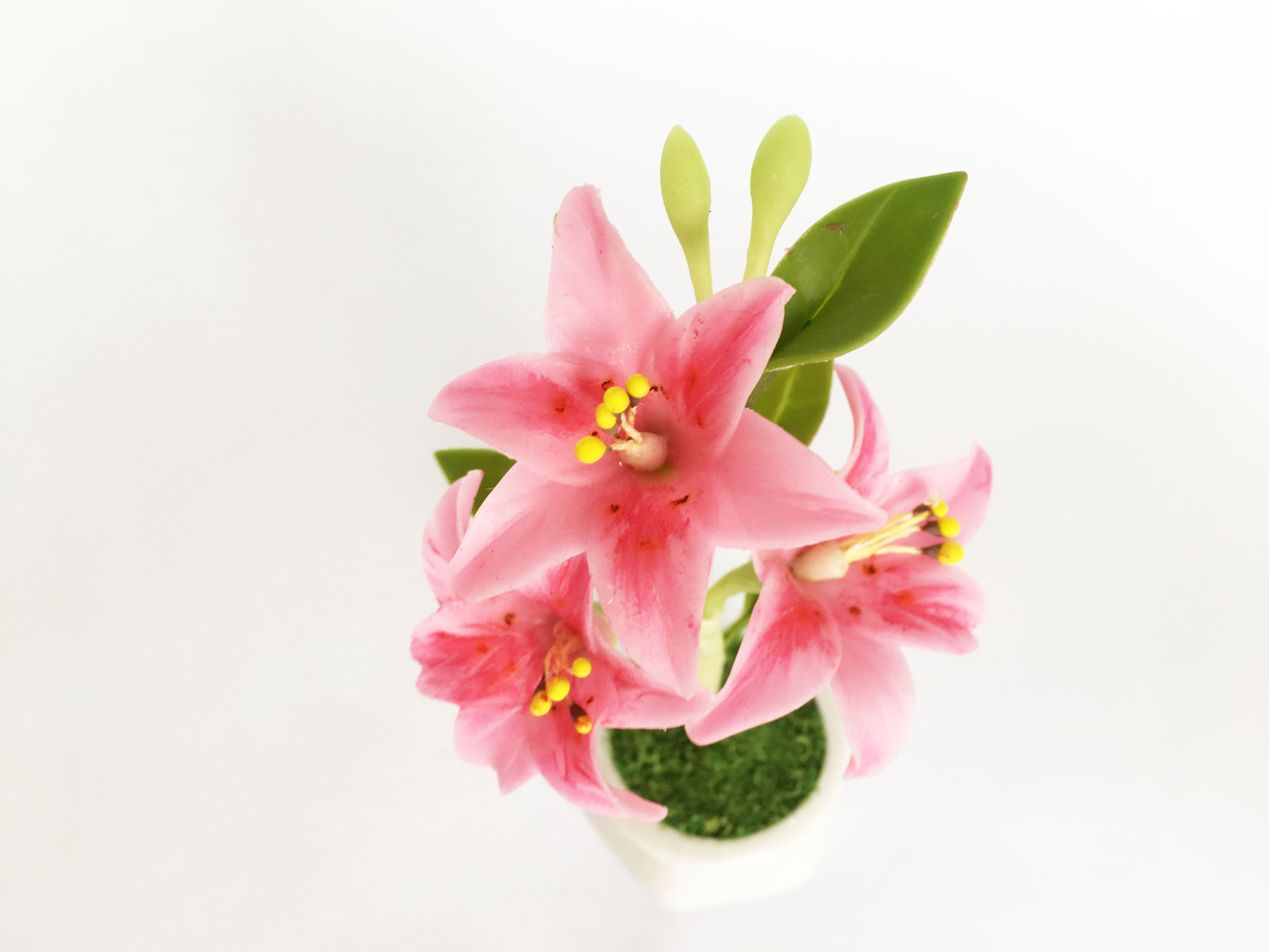 Chậu hoa đất sét mini - Cây hoa ly / Hoa bách hợp / Lily (phát màu ngẫu nhiên) - Quà tặng trang trí handmade