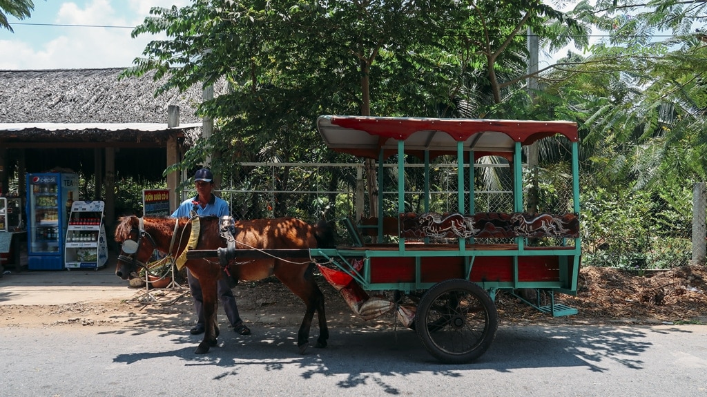 Tour Cần Thơ Tiền Giang Bến Tre 1 ngày – Khám phá miệt vườn Mỹ Tho