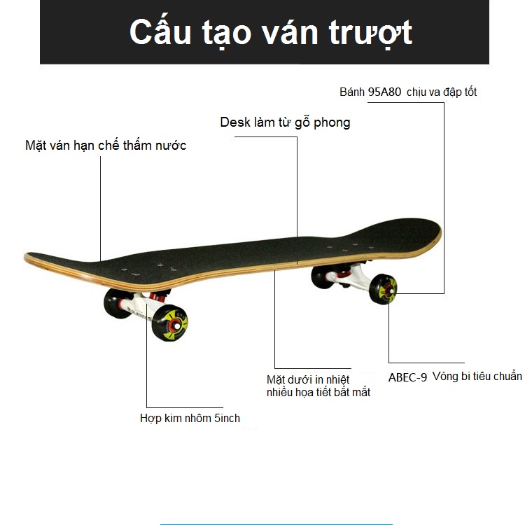 Ván Trượt Skateboard Người Lớn FB -602 Cao Cấp. Mặt Chống Thấm + Lớp Nhám, Bánh Xe PU 95A, Trục Hợp Kim Nhôm Dày 5inch
