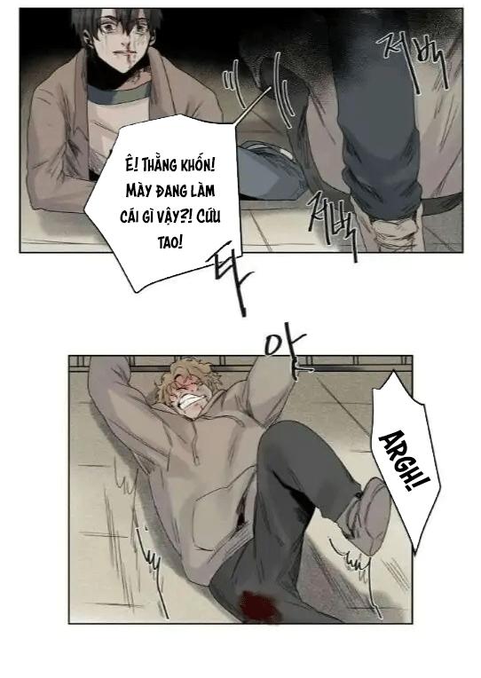 ánh nhìn của quạ chapter 6 31