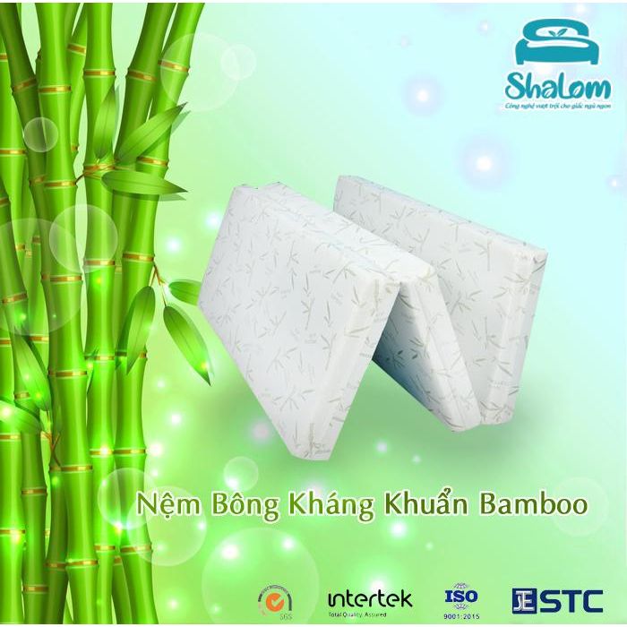 Nệm Bông Shalom Bamboo Kiểu Dáng Thẳng Hoặc Gấp