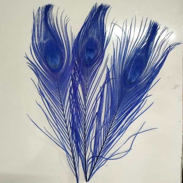 Lông Công Màu TRẮNG,VÀNG, XANH trang trí 25cm 30cm-lông Khổng tước chiêu tài,trang trí