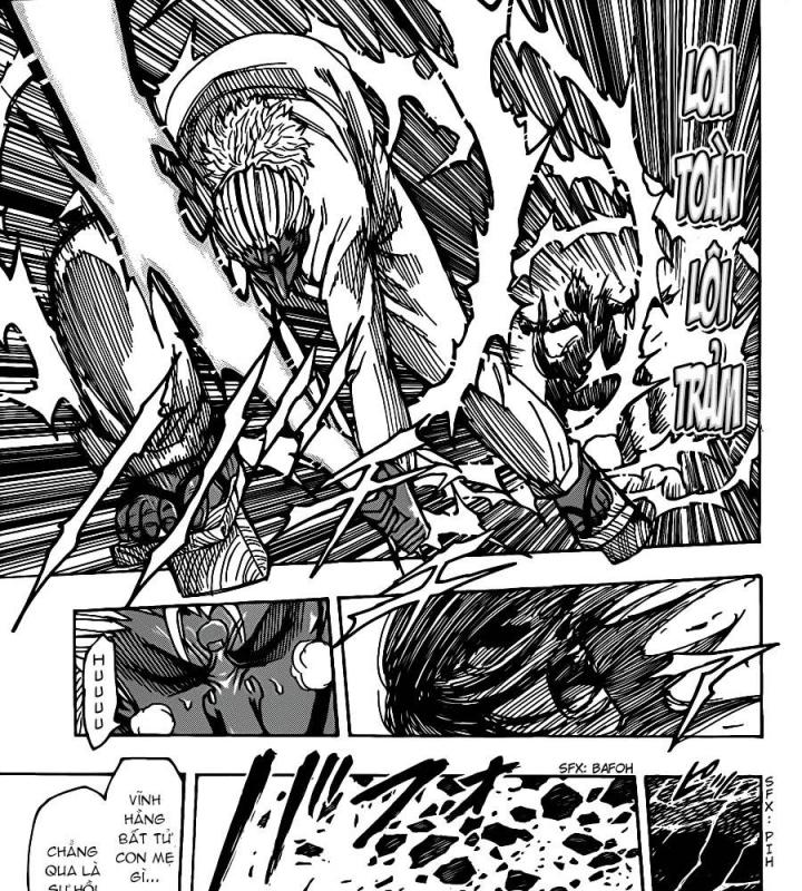 thánh tỏi sành ăn chapter 228 24