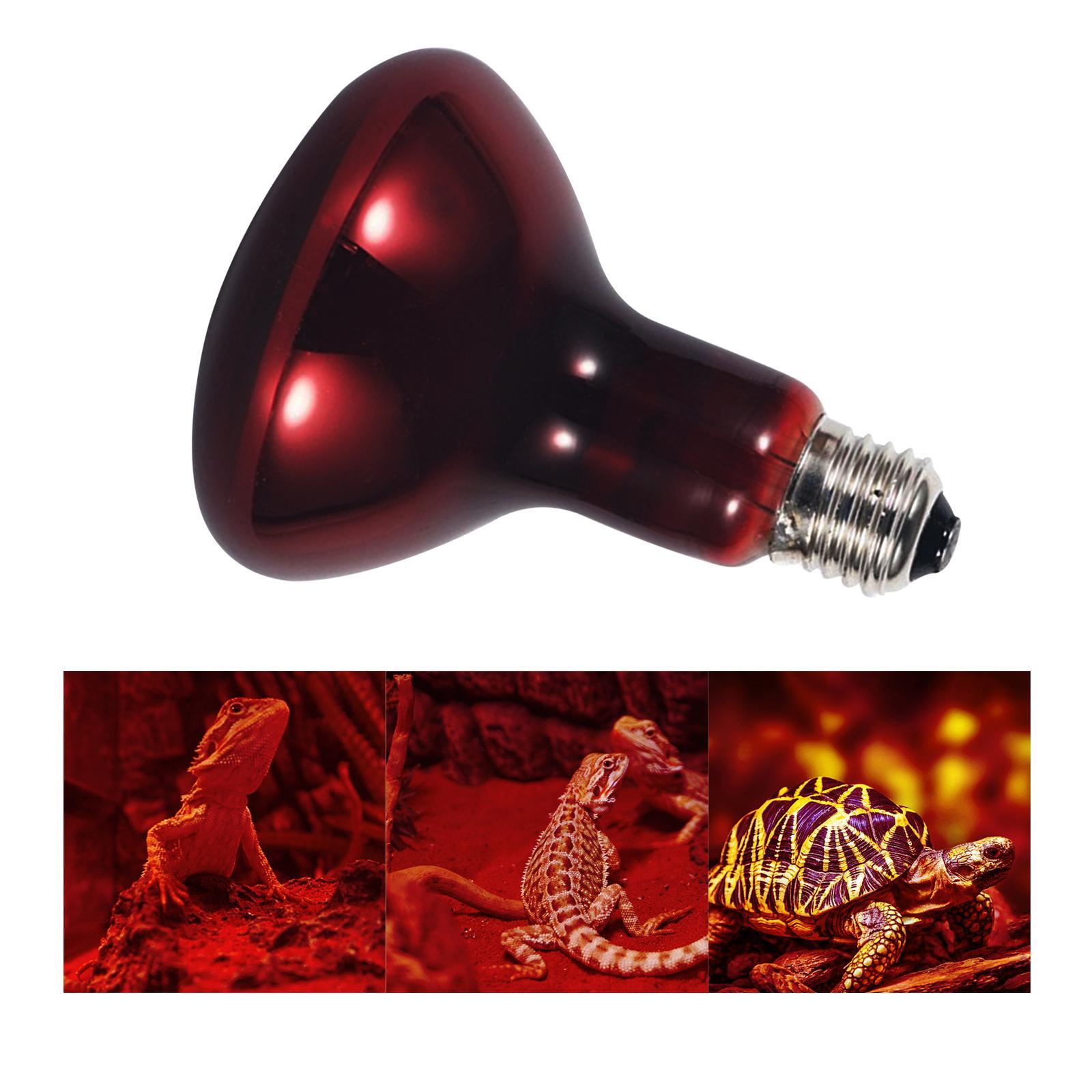 E27 Reptile Light Bulb Heating Lamp Hedgehogs Pet Supplies 100W Warm