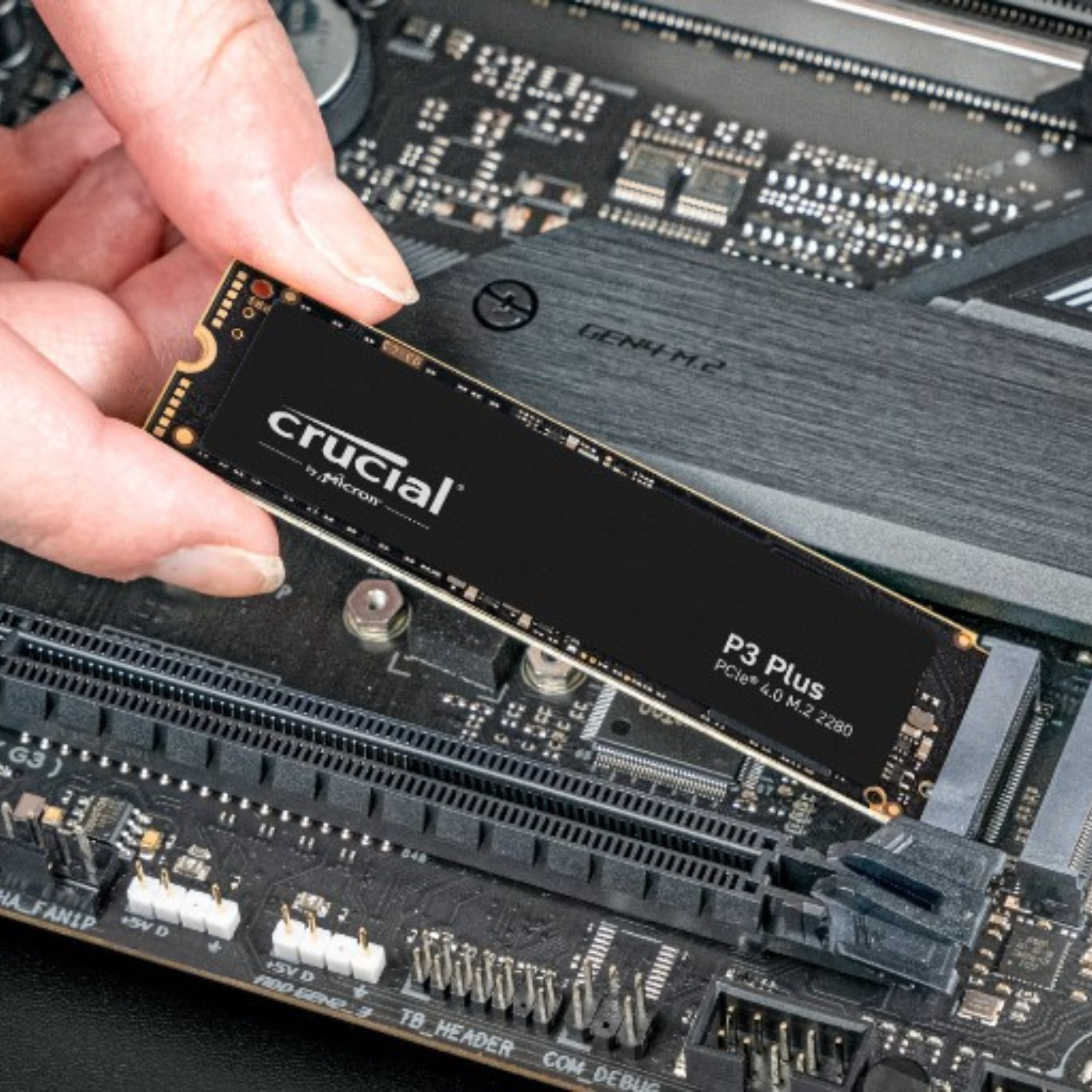 SSD CRUCIAL P3 Plus Gen 4 NVMe 1000GB - CT1000P3PSSD8 - HÀNG CHÍNH HÃNG