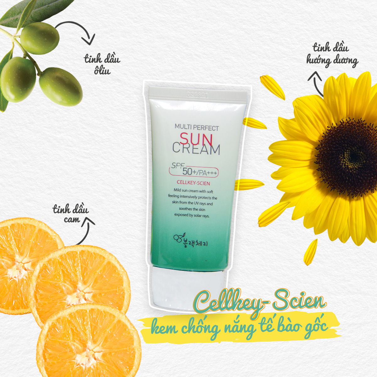 BỘ SẢN PHẨM TẾ BÀO GỐC THỰC VẬT CELLKEY-SCIEN (TẶNG KÈM KEM CHỐNG NẮNG CELLKEY – SCIEN MULTI PERFECT SUN CREAM)