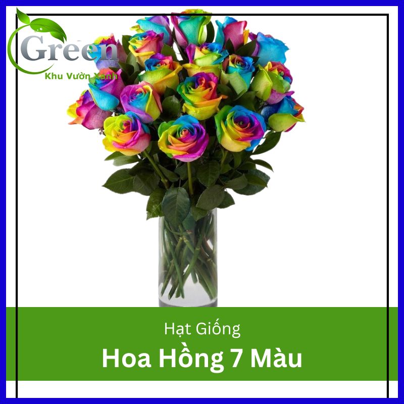 Hạt Giống Hoa Hồng 7 Màu (20H)