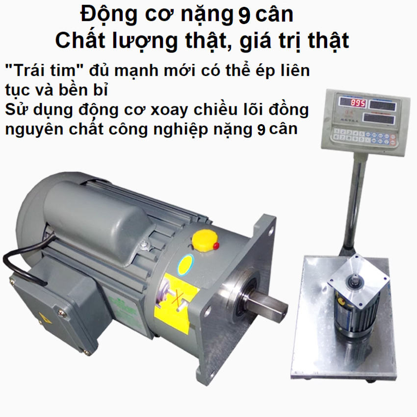 Máy ép dầu ăn thực vật chuyên nghiệp Nóng và Lạnh thương hiệu Mỹ Septree S8 - Công suất 1450W - Hàng nhập khẩu