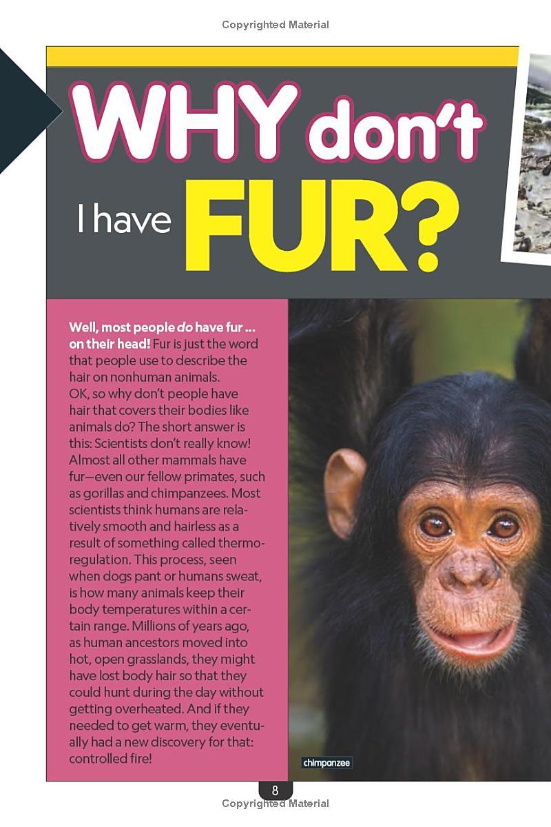 Sách ngoại văn: Why? The Human Body