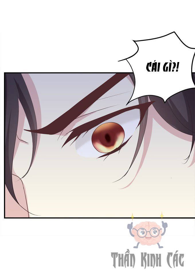 kiểm soát tuyệt đối chapter 3 46