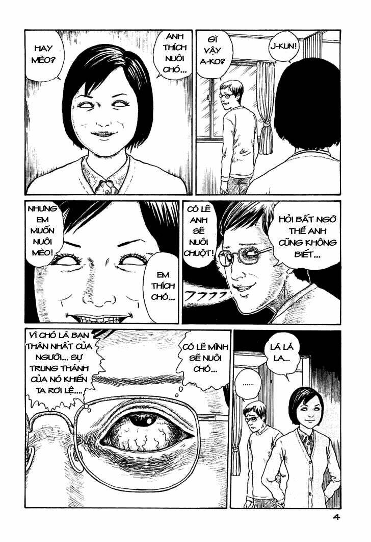 ito junji cat's diary chapter 1 8
