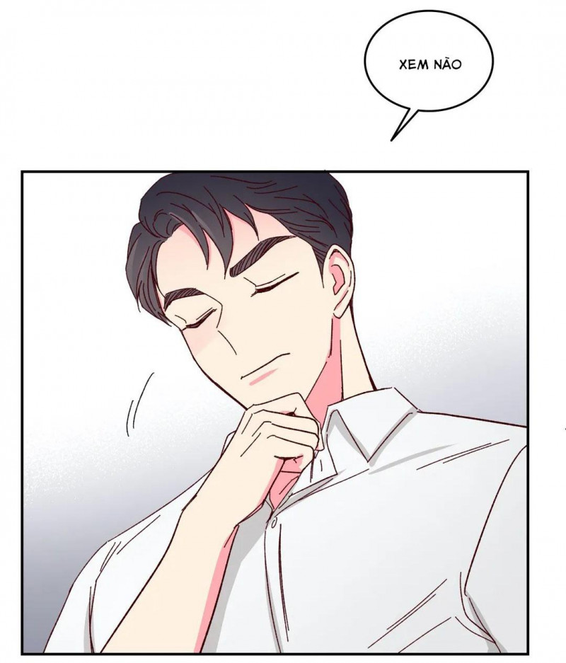 món tráng miệng của sếp tổng chapter 50 36